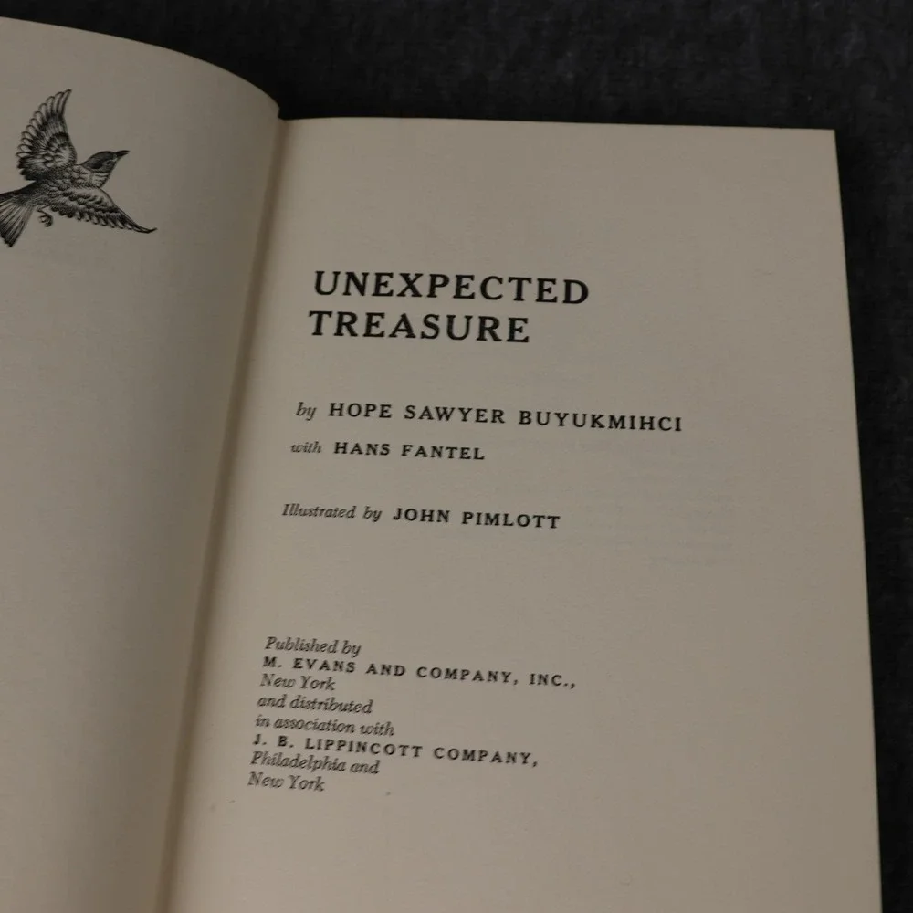 Vintage Unexpected Treasure Hope Sawyer Buyukmihci Green HC DJ 1st Ed 1968 USA